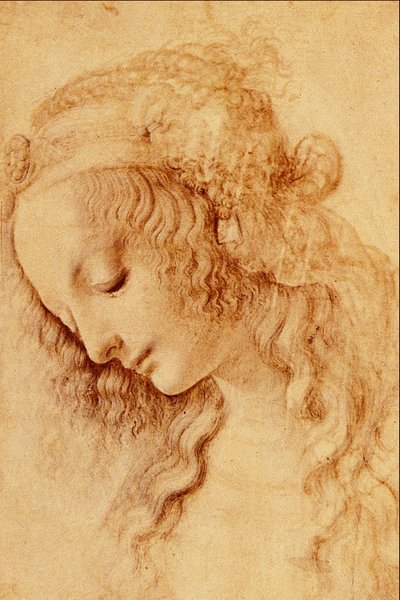 Heads of a Woman in Profile by Leonardo da Vinci